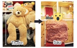 hút chân không gấu bông bằng máy hút bụi