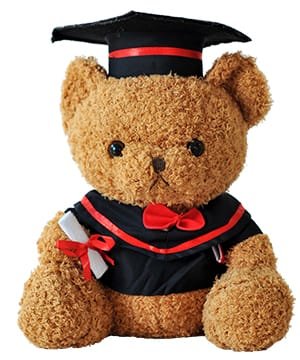 Tặng Gấu Bông Tốt Nghiệp Hà Nội Ý Nghĩa 5 Tăng gấu bông tốt nghiệp hà nội ý nghĩa