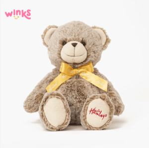 Gấu bông Teddy Bear